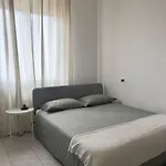Monolocale Farini Petit